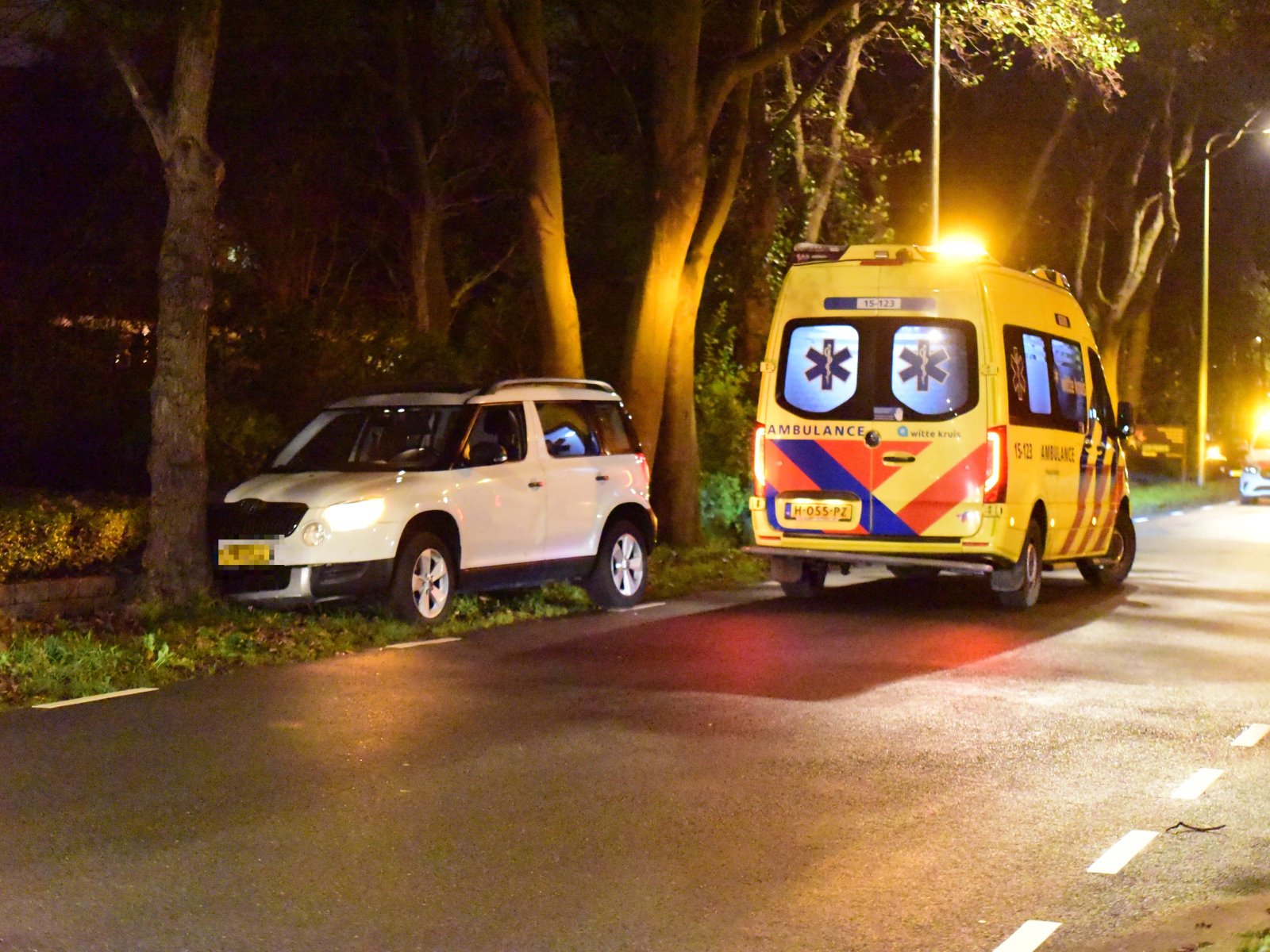 Automobilist komt tegen boom tot stilstand na uitwijkmanoeuvre op Madeweg in Monster