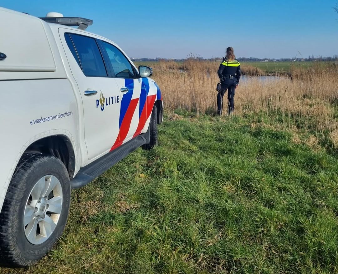 Dode schapen gedumpt in De Lier, dierenpolitie doet onderzoek