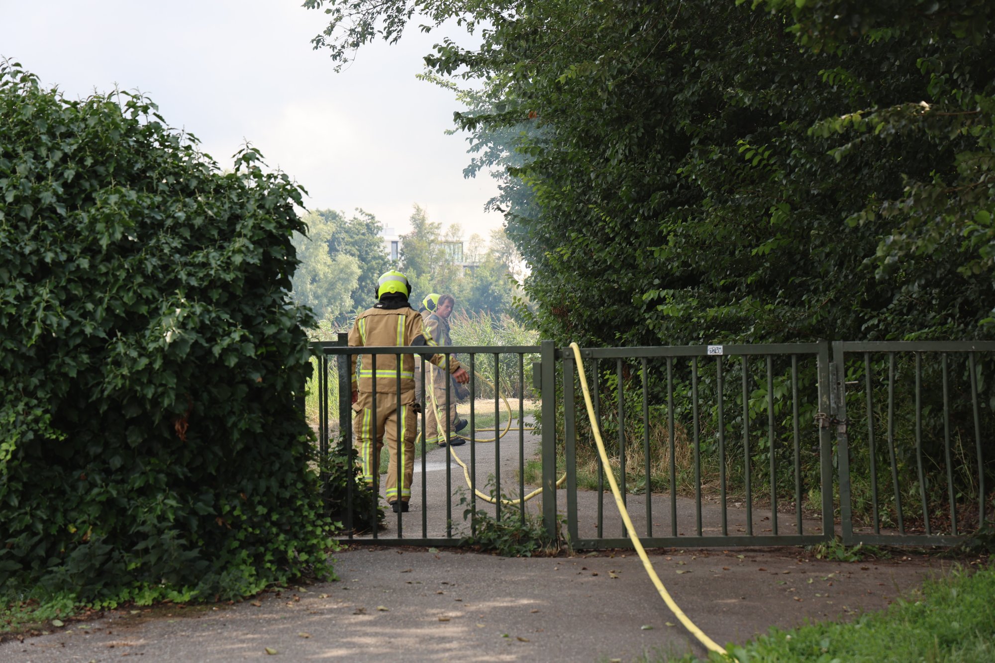 Brandweer Honselersdijk blust klein brandje in bosgebied