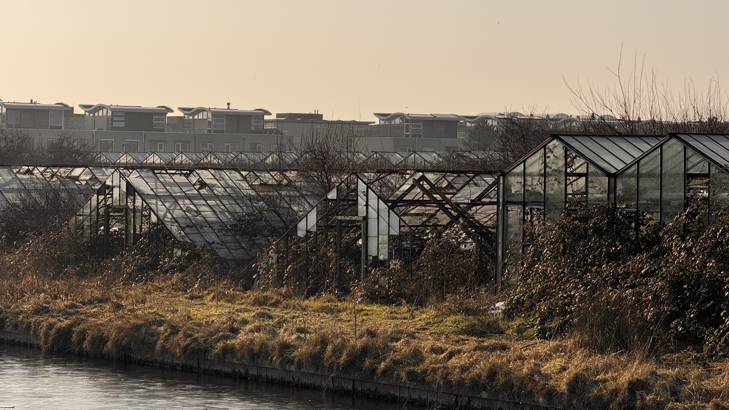 Westland Verstandig roept Gemeente op tot onderhoud van verwaarloosde tuinderij