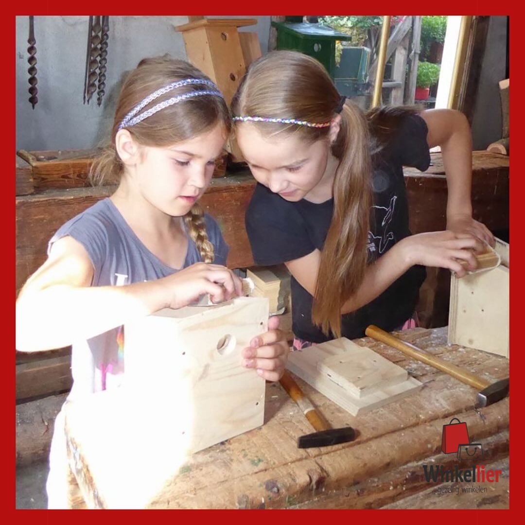 Creatieve Houtworkshop voor Kinderen in De Timmerwerf op 2 november