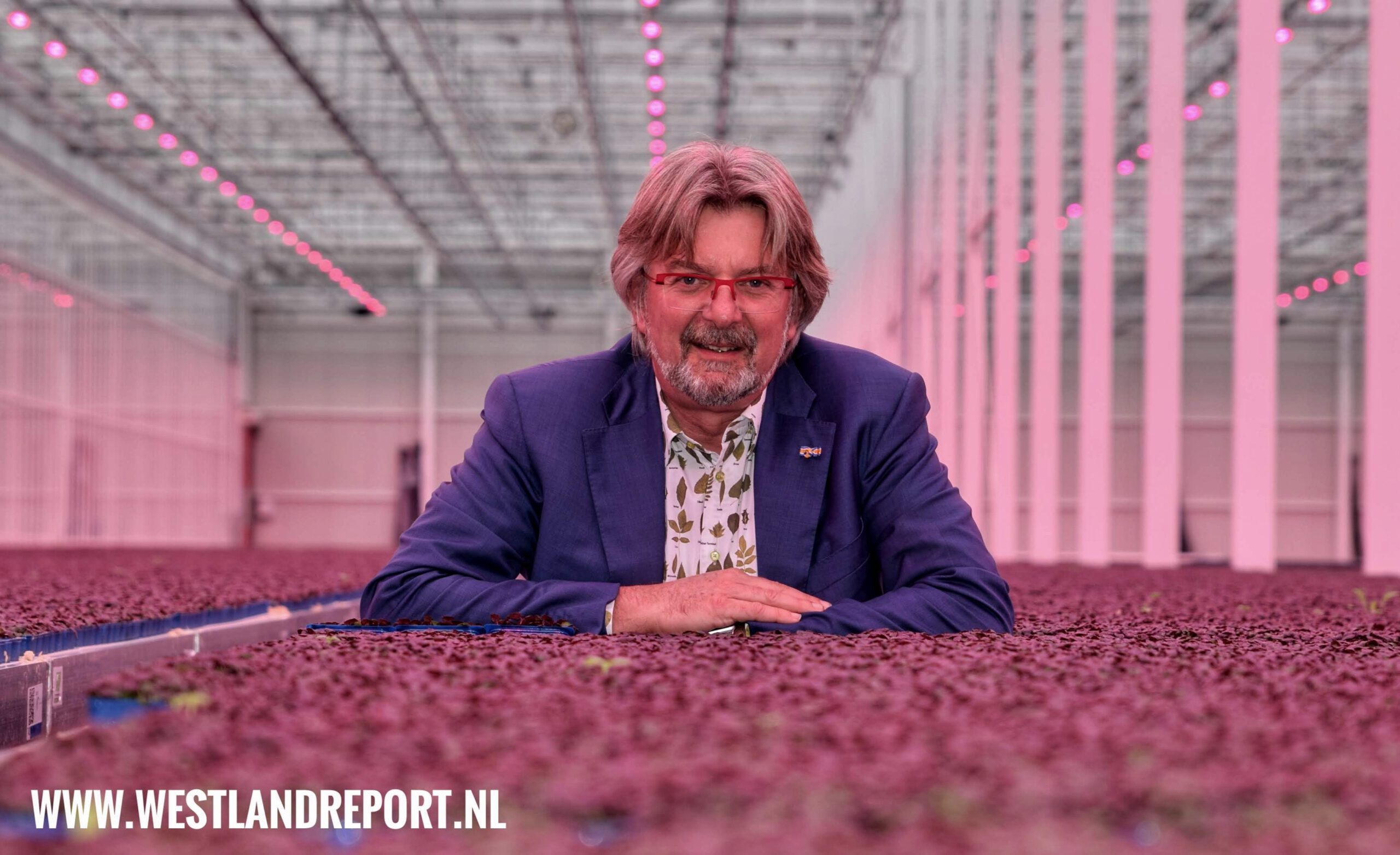 Zilveren erepenning Westland voor Rob Baan bij zilveren jubileum
