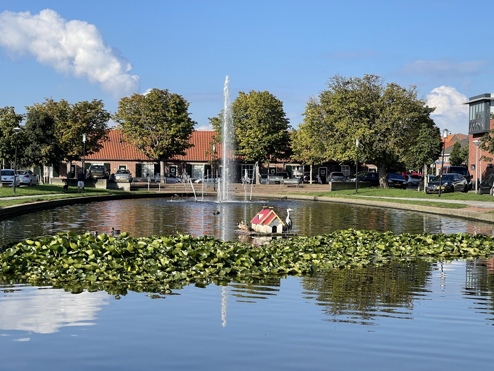 Jongen mishandeld bij eendenvijver in ‘s-Gravenzande