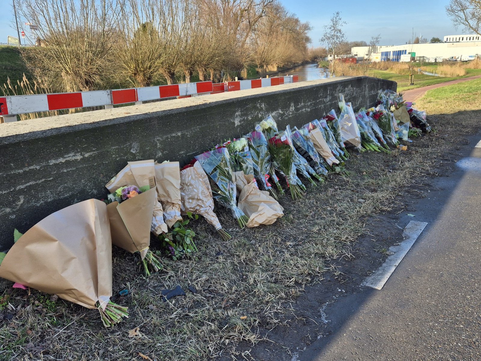 Getuigen gezocht na dodelijk ongeval op de Coldenhovelaan