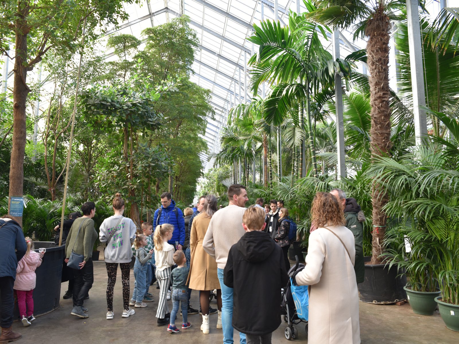 Kom in de Kas Westland 2026 vindt plaats aan de Oranjepolderweg in Maasdijk