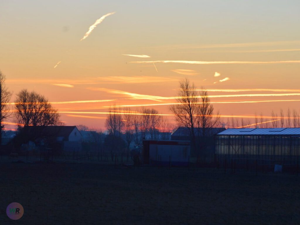 Weerbericht het Westland 16 augustus 2026: Bewolkt, 22°C