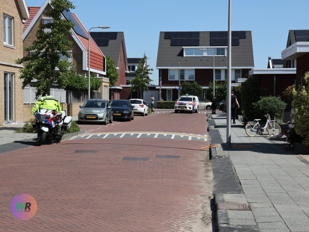 Politie lost waarschuwingsschot bij aanhouding in ‘s-Gravenzande