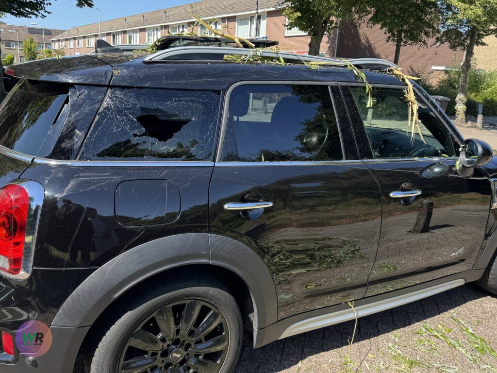 Tak valt van boom op rijdend voertuig aan de Populierenstraat in ‘s-Gravenzande